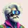 BodySherpa.ai