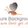 BeSure Background Check
