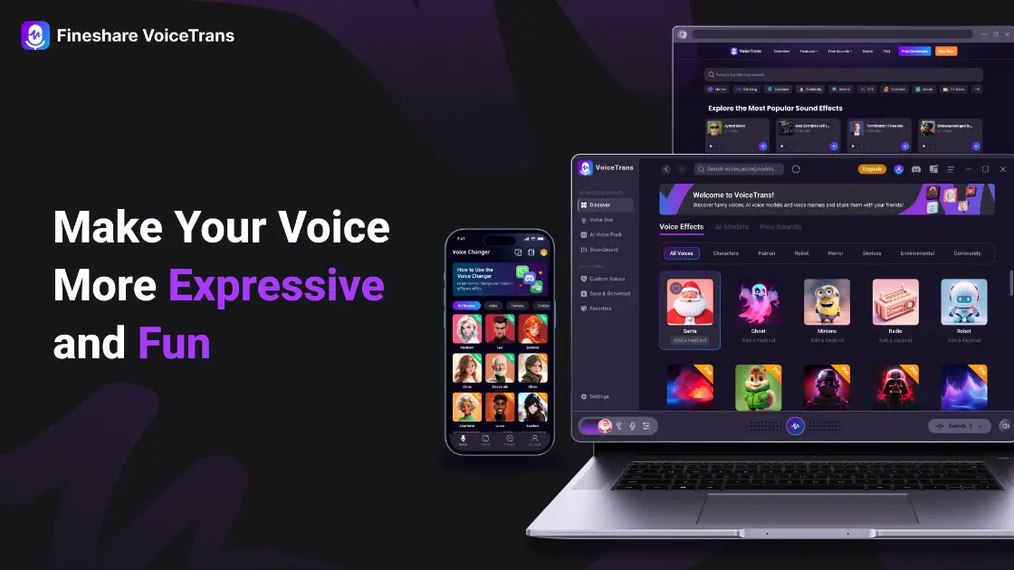 Fineshare VoiceTrans product image