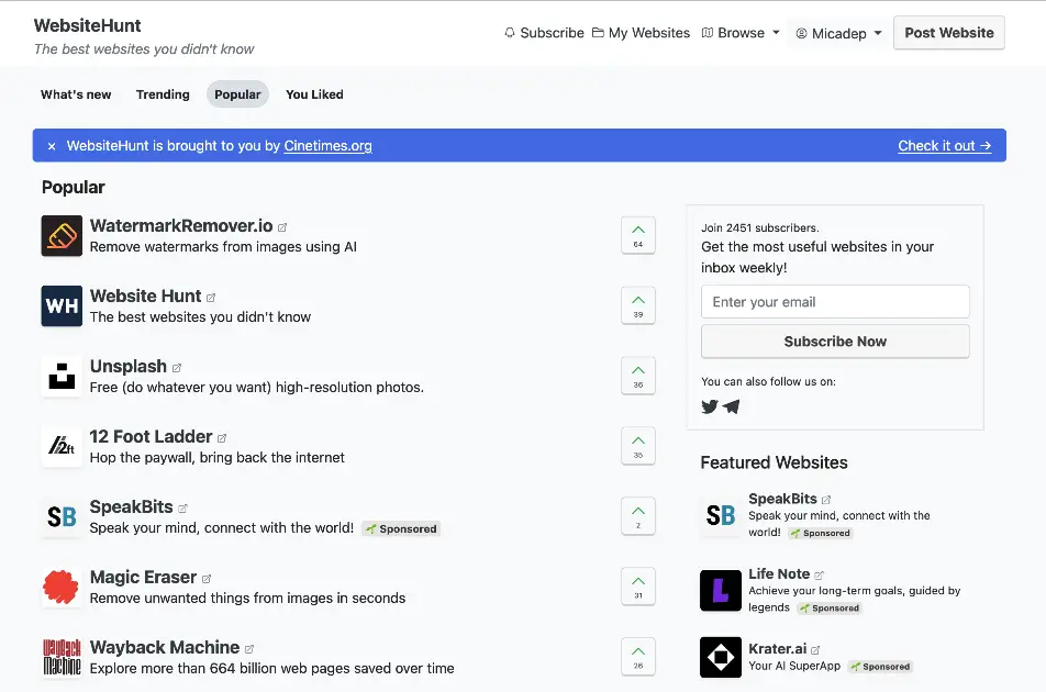WebsiteHunt product image