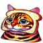 Create a Meme