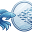 mirofishfish
