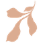 PATTERNISSE