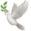 Scopebird